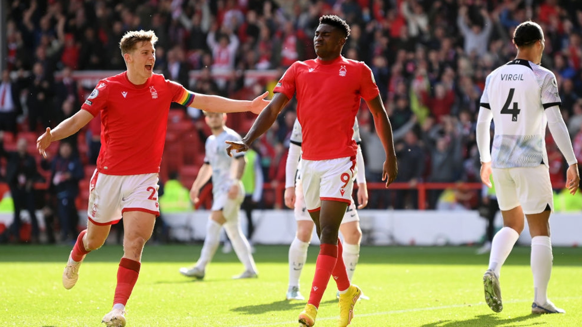 展示了他们 展示了他们